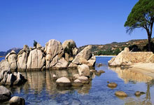 90分和即时比分滚球二合一有何区别与特点？